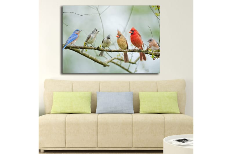 Canvas taulu 70x100 cm - Värikkäitä lintuja oksalla - Sininen / Punainen / Harmaa - Sisustustuotteet - Taulu & taide - Canvas-taulu