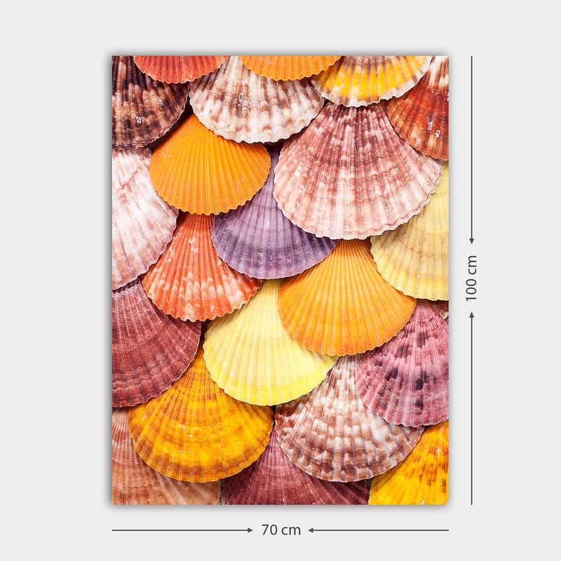 Canvas taulu 70x100 cm - Värikkäitä simpukankuoria kauniissa kuviossa - Oranssi / Violetti / Vaaleanpunainen - Sisustustuotteet - Taulu & taide - Canvas-taulu