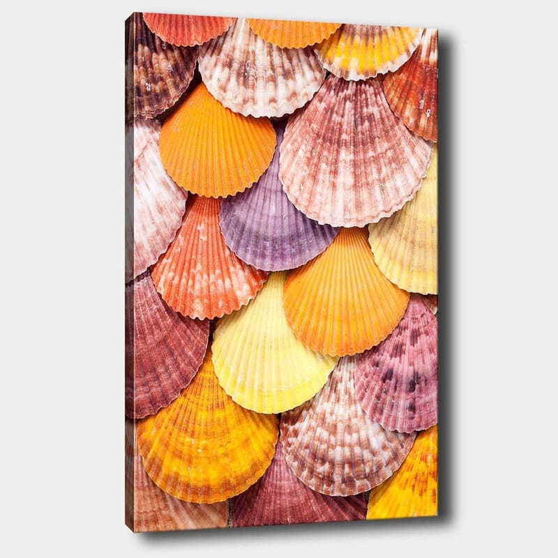 Canvas taulu 70x100 cm - Värikkäitä simpukankuoria kauniissa kuviossa - Oranssi / Violetti / Vaaleanpunainen - Sisustustuotteet - Taulu & taide - Canvas-taulu