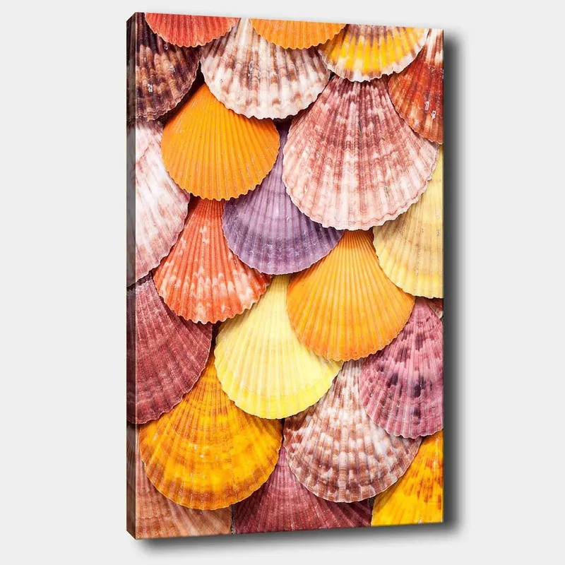 Canvas taulu 70x100 cm - Värikkäitä simpukankuoria kauniissa kuviossa, Oranssi / Violetti / Vaaleanpunainen