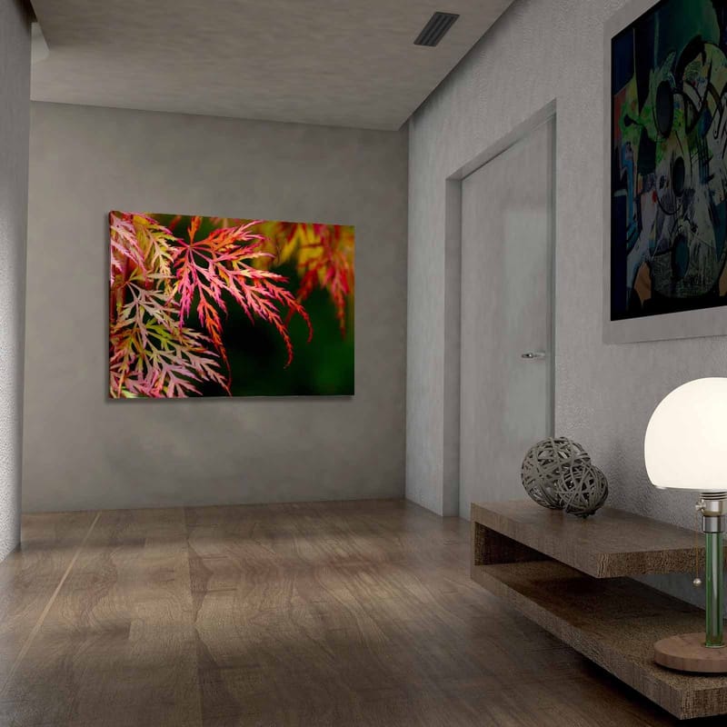 Canvas taulu 70x100 cm - Värikkäitä vaahteranlehtiä eri punaisen ja vaaleanpunaisen sävyissä - Punainen / Vaaleanpunainen / Vihreä - Sisustustuotteet - Taulu & taide - Canvas-taulu