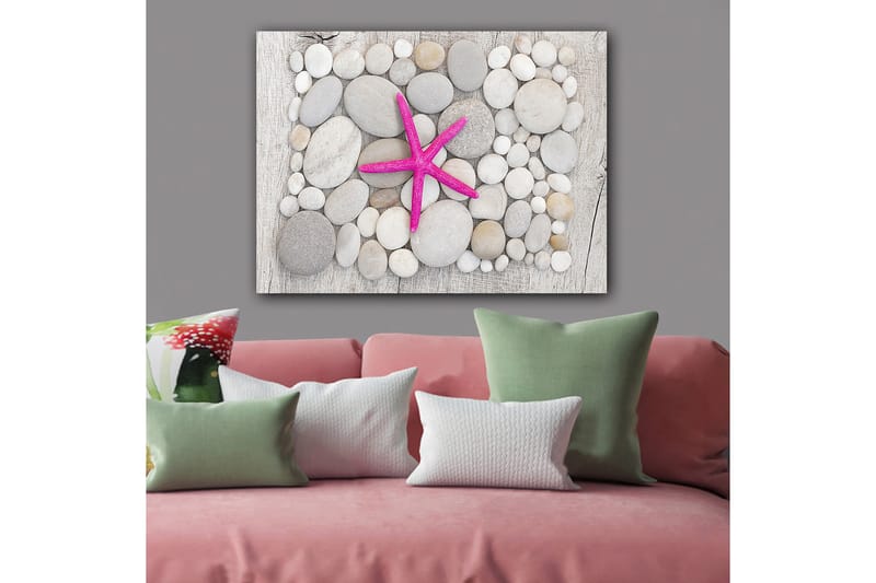 Canvas taulu 70x100 cm - Vaaleanpunainen meritähti harmaiden ja valkoisten kivien ympäröimänä, Harmaa / Valkoinen / Vaaleanpunainen
