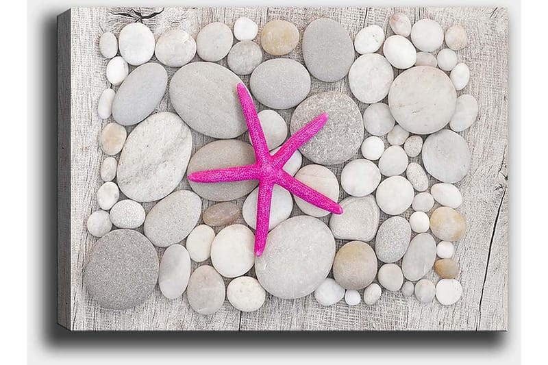 Canvas taulu 70x100 cm - Vaaleanpunainen meritähti harmaiden ja valkoisten kivien ympäröimänä - Harmaa / Valkoinen / Vaaleanpunainen - Sisustustuotteet - Taulu & taide - Canvas-taulu
