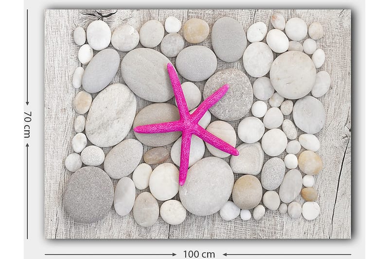 Canvas taulu 70x100 cm - Vaaleanpunainen meritähti harmaiden ja valkoisten kivien ympäröimänä - Harmaa / Valkoinen / Vaaleanpunainen - Sisustustuotteet - Taulu & taide - Canvas-taulu
