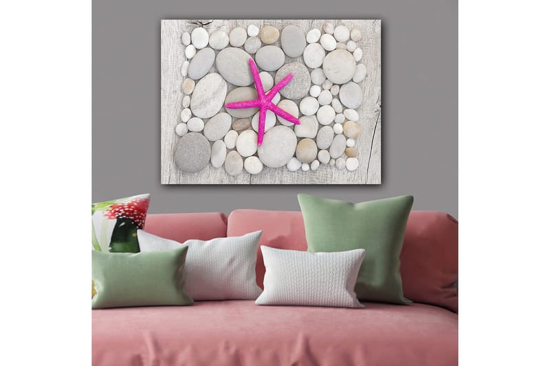 Canvas taulu 70x100 cm - Vaaleanpunainen meritähti harmaiden ja valkoisten kivien ympäröimänä, Harmaa / Valkoinen / Vaaleanpunainen
