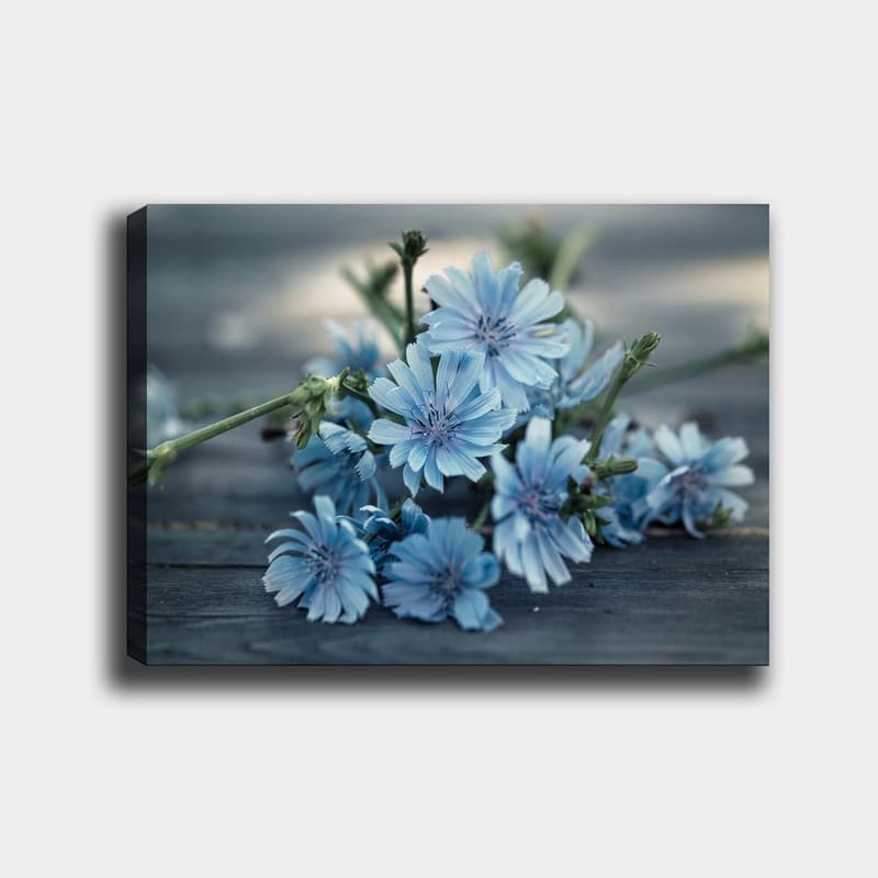 Canvas taulu 70x100 cm - Vaaleansinisten kukkien kimppu tummalla pinnalla, Vaaleansininen / Vihreä