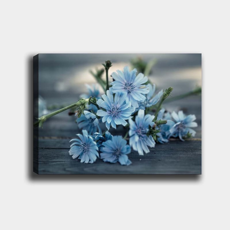 Canvas taulu 70x100 cm - Vaaleansinisten kukkien kimppu tummalla pinnalla, Vaaleansininen / Vihreä