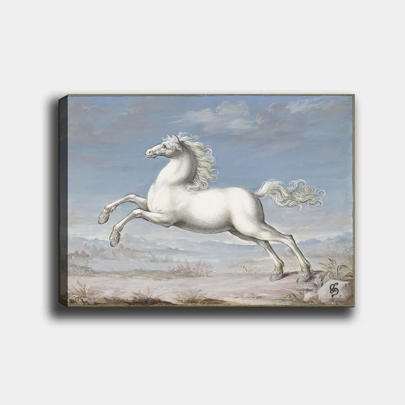 Canvas taulu 70x100 cm - Valkoinen hevonen hyppää eteenpäin luonnonkauniissa maisemaympäristössä, Valkoinen / Vaaleansininen / Beige