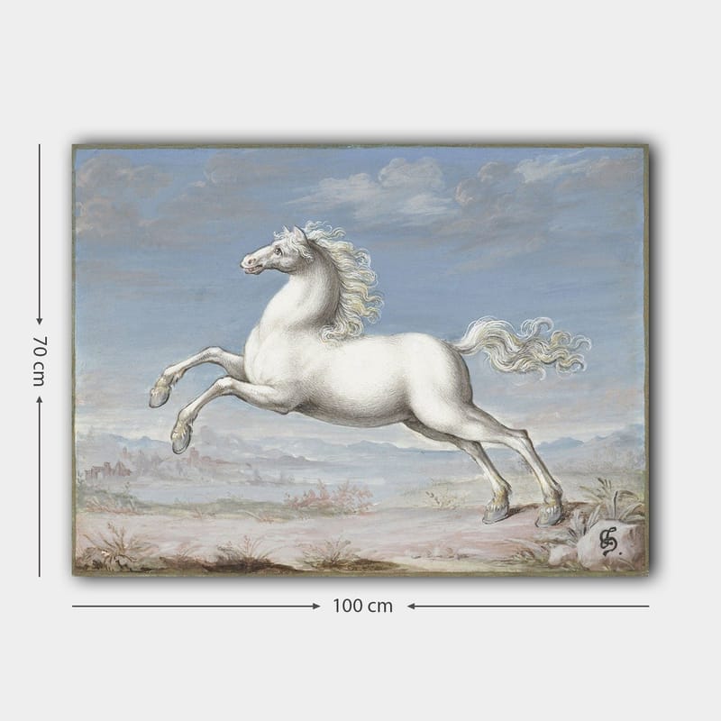 Canvas taulu 70x100 cm - Valkoinen hevonen hyppää eteenpäin luonnonkauniissa maisemaympäristössä - Valkoinen / Vaaleansininen / Beige - Sisustustuotteet - Taulu & taide - Canvas-taulu