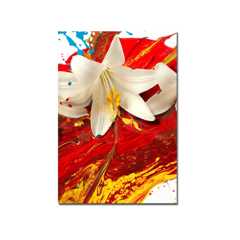 Canvas taulu 70x100 cm - Valkoinen lilja erottuu intensiivisen punaisen ja keltaisen taustan edessä - Punainen / Keltainen / Valkoinen - Sisustustuotteet - Taulu & taide - Canvas-taulu