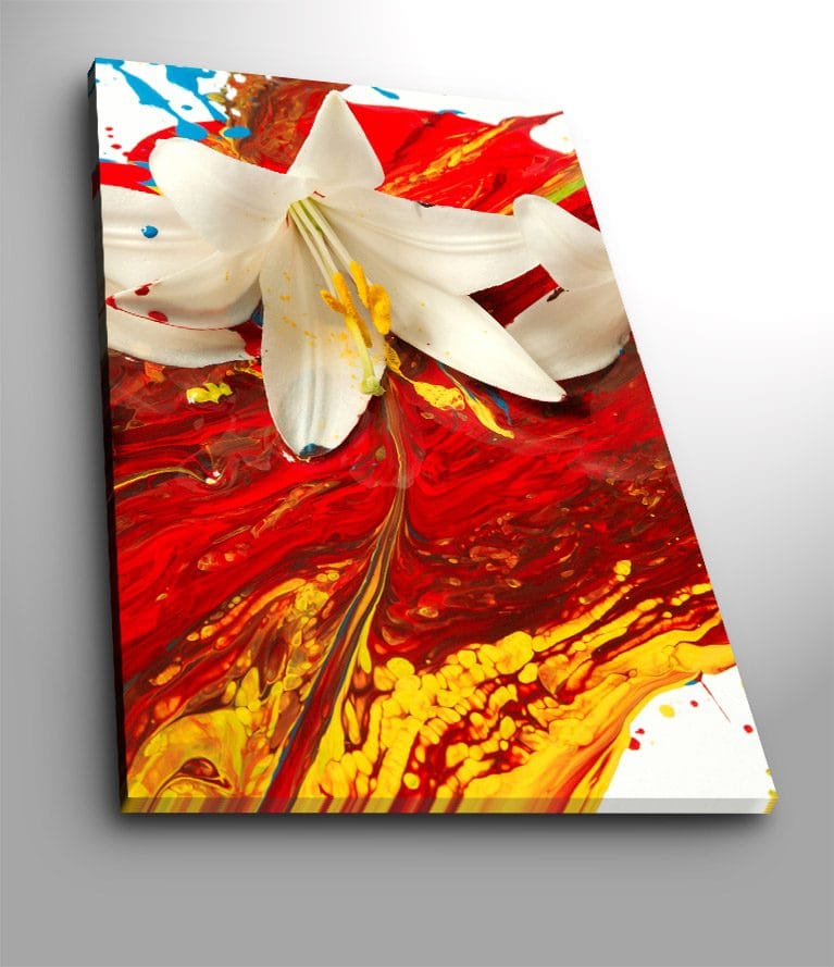Canvas taulu 70x100 cm - Valkoinen lilja erottuu intensiivisen punaisen ja keltaisen taustan edessä, Punainen / Keltainen / Valkoinen