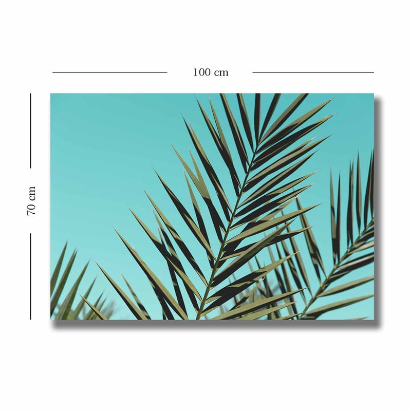 Canvas taulu 70x100 cm - Vehreitä palmunlehtiä kirkasta taivasta vasten - Turkoosi / Tummanvihreä - Sisustustuotteet - Taulu & taide - Canvas-taulu