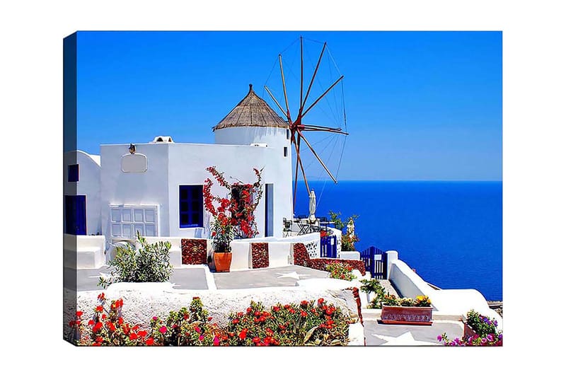 Canvas taulu 70x100 cm - Viehättävä näkymä valkoiseksi kalkitusta rakennuksesta, jossa on perinteinen tuulimylly ja värikkäitä kukkia Santorinilla - Valkoinen / Sininen / Punainen - Sisustustuotteet - Taulu & taide - Canvas-taulu