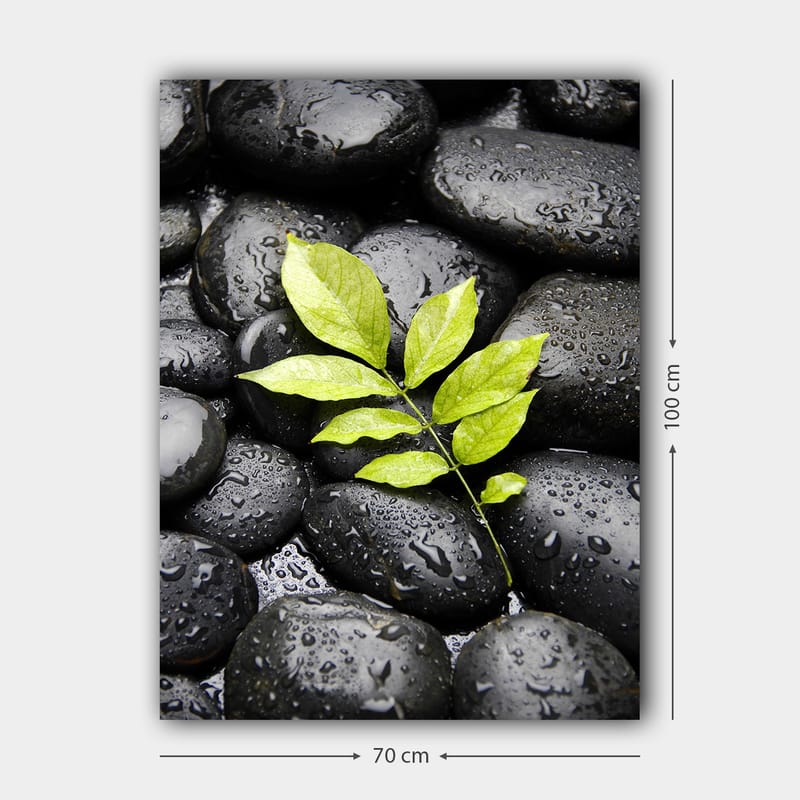 Canvas taulu 70x100 cm - Vihreä oksa kasvaa mustien kivien kokoelmasta - Musta / Vihreä - Sisustustuotteet - Taulu & taide - Canvas-taulu