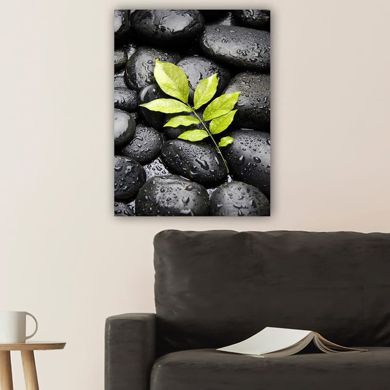 Canvas taulu 70x100 cm - Vihreä oksa kasvaa mustien kivien kokoelmasta - Musta / Vihreä - Sisustustuotteet - Taulu & taide - Canvas-taulu