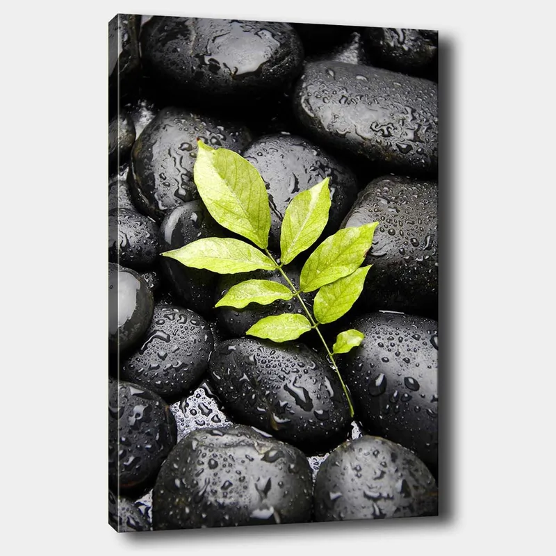 Canvas taulu 70x100 cm - Vihreä oksa kasvaa mustien kivien kokoelmasta, Musta / Vihreä