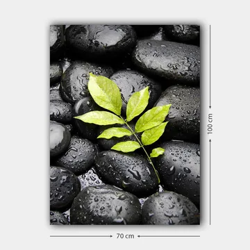 Canvas taulu 70x100 cm - Vihreä oksa kasvaa mustien kivien kokoelmasta - Musta / Vihreä - Sisustustuotteet - Taulu & taide - Canvas-taulu