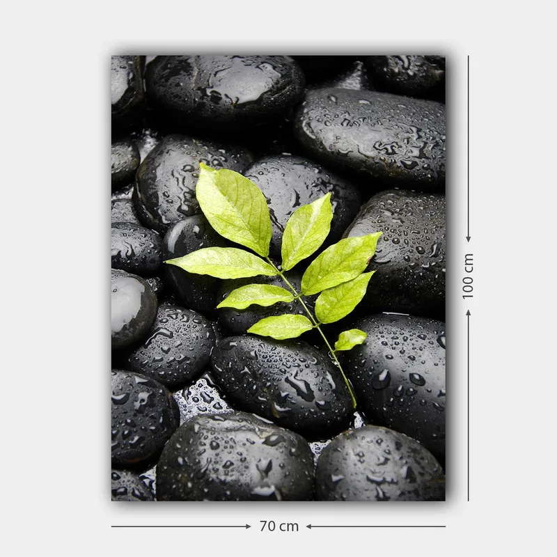 Canvas taulu 70x100 cm - Vihreä oksa kasvaa mustien kivien kokoelmasta - Musta / Vihreä - Sisustustuotteet - Taulu & taide - Canvas-taulu