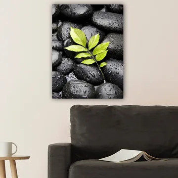 Canvas taulu 70x100 cm - Vihreä oksa kasvaa mustien kivien kokoelmasta - Musta / Vihreä - Sisustustuotteet - Taulu & taide - Canvas-taulu