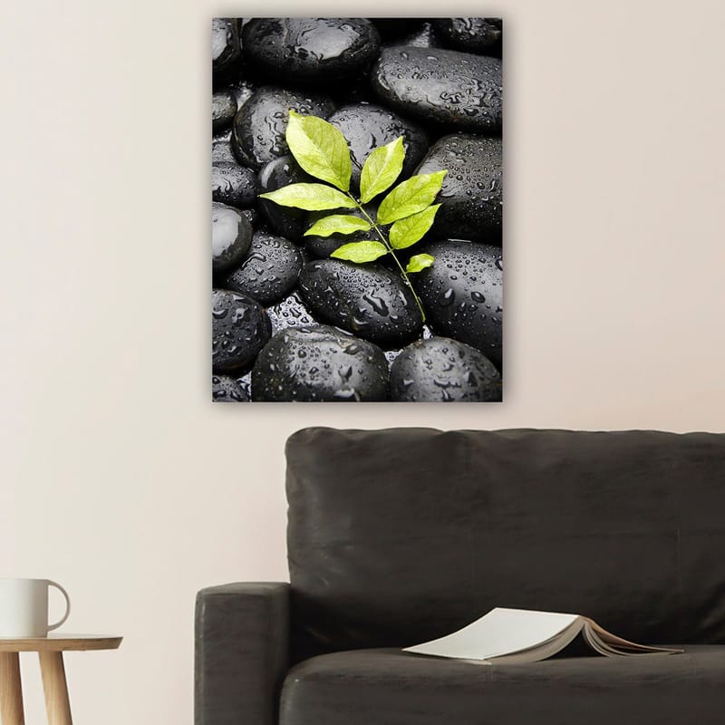 Canvas taulu 70x100 cm - Vihreä oksa kasvaa mustien kivien kokoelmasta - Musta / Vihreä - Sisustustuotteet - Taulu & taide - Canvas-taulu