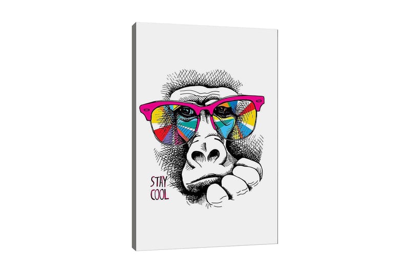 Canvas taulu 70x100 cm - Viileä gorilla värikkäissä aurinkolaseissa ilmaisee rentoa asennetta, Vaaleanpunainen / Keltainen / Sininen