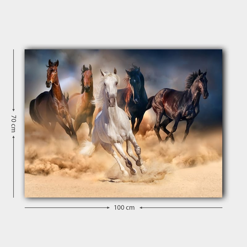 Canvas taulu 70x100 cm - Viisi hevosta täyttä laukkaa hiekan ja pölyn läpi - Valkoinen / Ruskea / Musta - Sisustustuotteet - Taulu & taide - Canvas-taulu