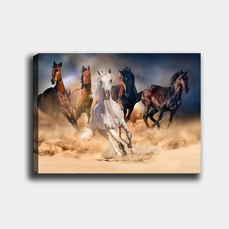 Canvas taulu 70x100 cm - Viisi hevosta täyttä laukkaa hiekan ja pölyn läpi, Valkoinen / Ruskea / Musta