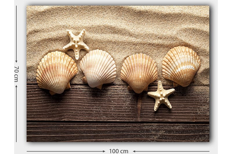 Canvas taulu 70x100 cm - Viisi simpukkaa ja meritähti hiekkaisella pohjalla - Beige / Ruskea / Valkoinen - Sisustustuotteet - Taulu & taide - Canvas-taulu