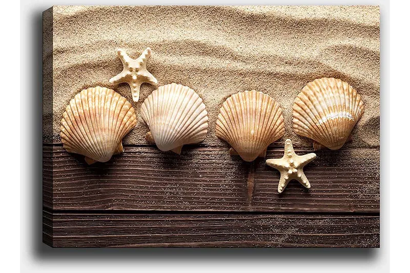 Canvas taulu 70x100 cm - Viisi simpukkaa ja meritähti hiekkaisella pohjalla - Beige / Ruskea / Valkoinen - Sisustustuotteet - Taulu & taide - Canvas-taulu