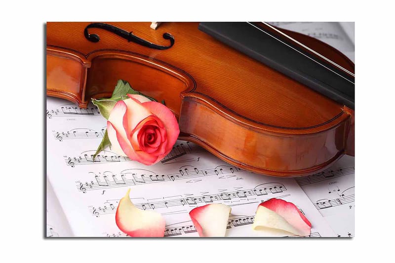 Canvas taulu 70x100 cm - Viulu ruusulla ja ruusun terälehdillä nuotilla, Punainen / Beige / Ruskea