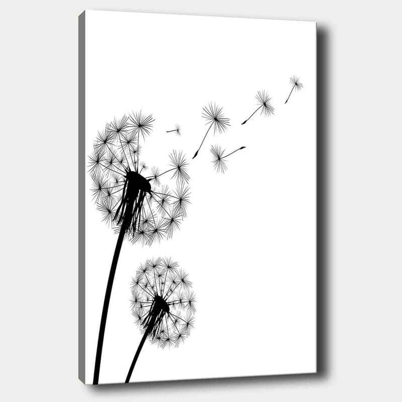 Canvas taulu 70x100 cm - Voikukkien siluetit levittämässä siemeniään tuulessa, Musta / Valkoinen