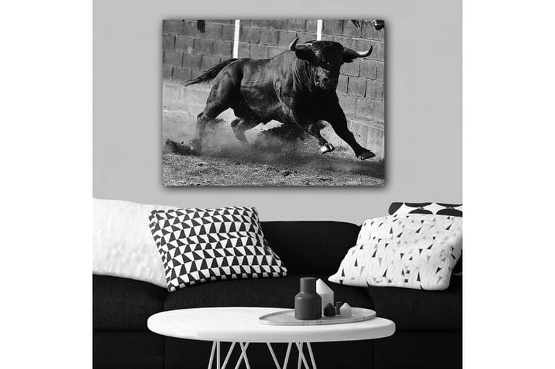 Canvas taulu 70x100 cm - Voimakas härkä liikkeessä, tallennettuna intensiivisen ja vahvan hetken muodossa - Musta / Harmaa - Sisustustuotteet - Taulu & taide - Canvas-taulu