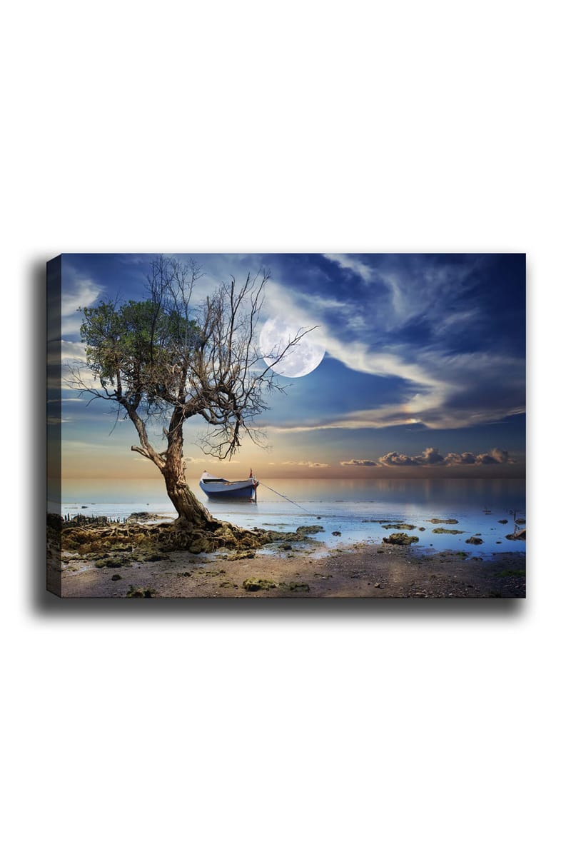 Canvas taulu 70x100 cm - Yksinäinen, kuollut puunrunko tyynen veden äärellä, taustalla vene tähtitaivaan alla, Sininen / Vihreä / Beige