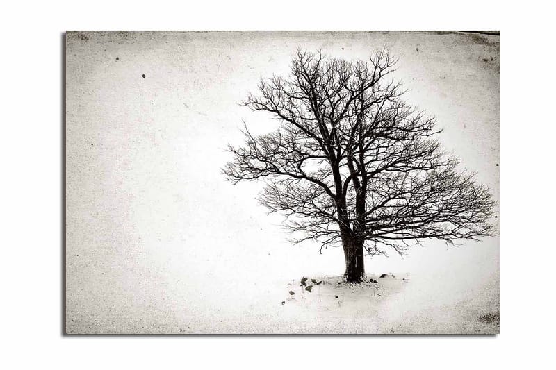 Canvas taulu 70x100 cm - Yksinäinen, lehdetön puu lumimaisemassa, Musta / Valkoinen