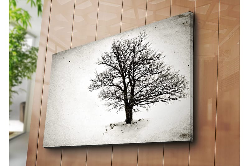 Canvas taulu 70x100 cm - Yksinäinen, lehdetön puu lumimaisemassa - Musta / Valkoinen - Sisustustuotteet - Taulu & taide - Canvas-taulu