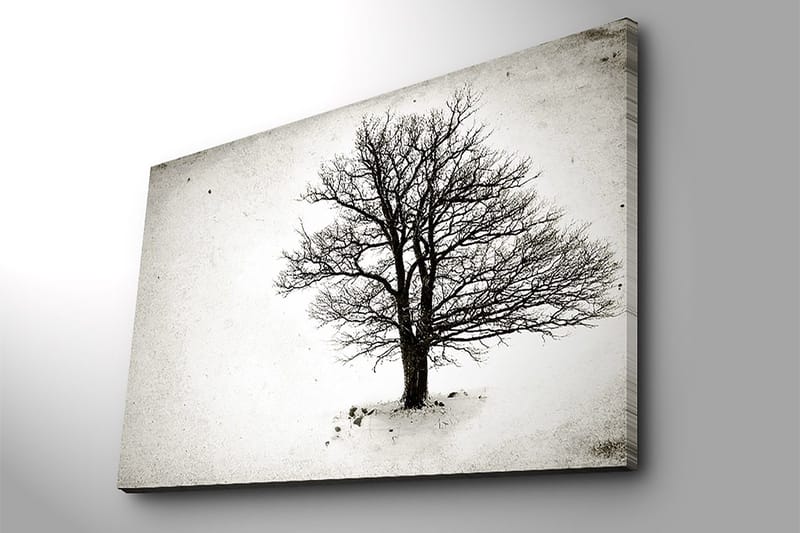 Canvas taulu 70x100 cm - Yksinäinen, lehdetön puu lumimaisemassa - Musta / Valkoinen - Sisustustuotteet - Taulu & taide - Canvas-taulu
