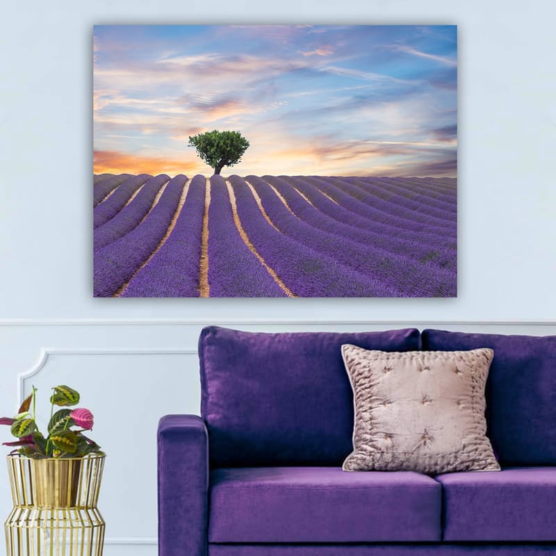 Canvas taulu 70x100 cm - Yksinäinen puunlatvus seisoo ylpeänä laventelipellon yllä pehmeissä, aaltoilevissa riveissä värikkään taivaan alla - Violetti / Vihreä / Keltainen - Sisustustuotteet - Taulu & taide - Canvas-taulu