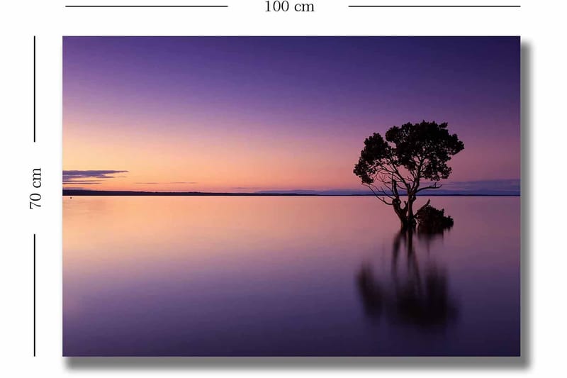 Canvas taulu 70x100 cm - Yksinäinen puunlatva heijastuu tyynessä järvessä värikkään taivaan alla hämärässä - Violetti / Oranssi / Musta - Sisustustuotteet - Taulu & taide - Canvas-taulu