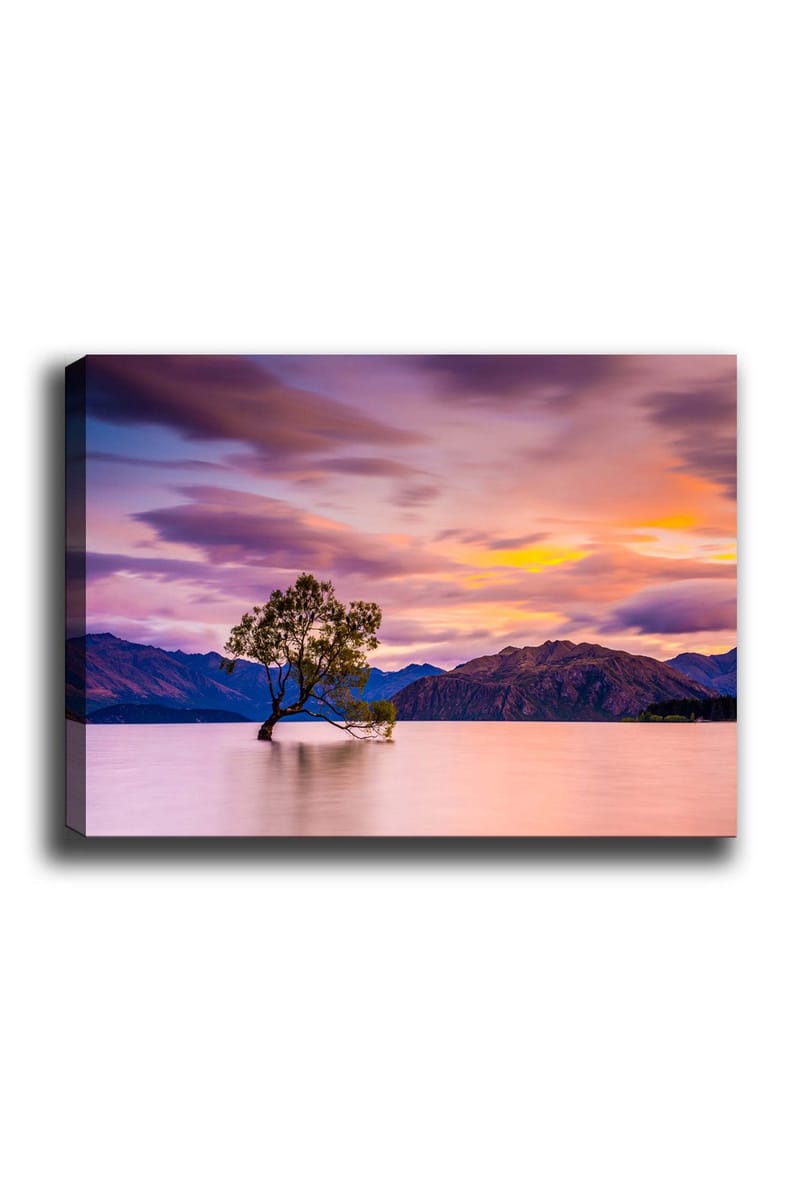 Canvas taulu 70x100 cm - Yksinäinen puunrunko peilimäisessä järvessä, taustalla kaukaiset vuoret värikkään taivaan alla auringonlaskun aikaan, Violetti / Vihreä / Oranssi
