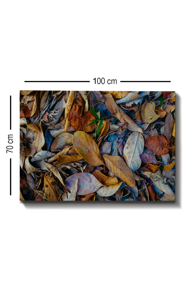 Canvas taulu 70x100 cm - Yksityiskohtainen kokoelma kuivattuja lehtiä eri sävyissä, jotka luovat luonnollisen tekstuurin - Ruskea / Beige / Vihreä - Sisustustuotteet - Taulu & taide - Canvas-taulu