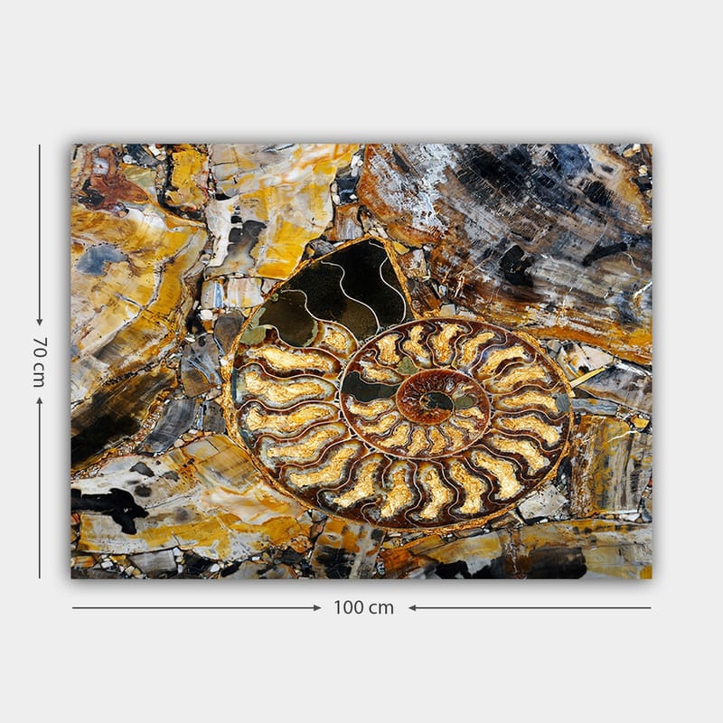 Canvas taulu 70x100 cm - Yksityiskohtainen kuvaus spiraalimaisesta etanasta - Kulta / Ruskea / Musta - Sisustustuotteet - Taulu & taide - Canvas-taulu