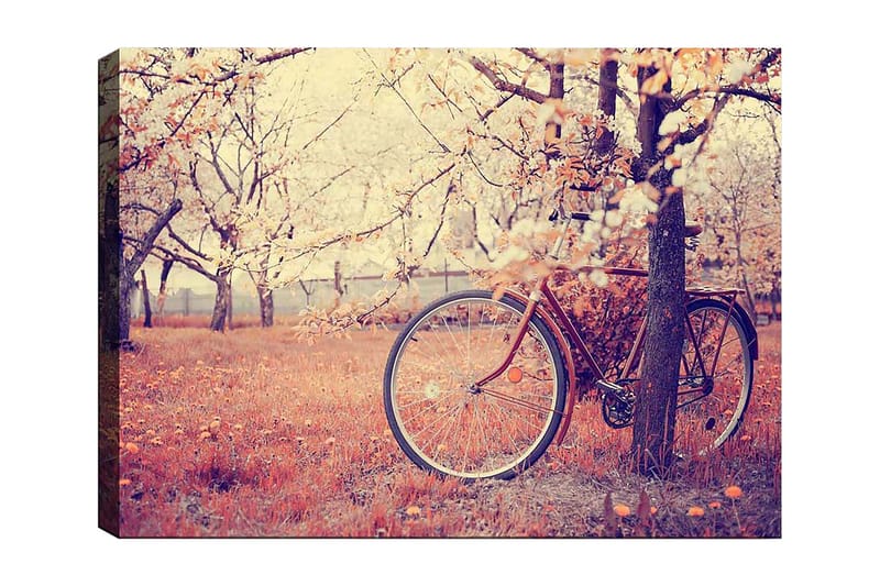 Canvas taulu 70x100 cm - Polkupyörä nojaa puuhun kukkivassa hedelmätarhassa keväällä, Oranssi / Ruskea / Harmaa