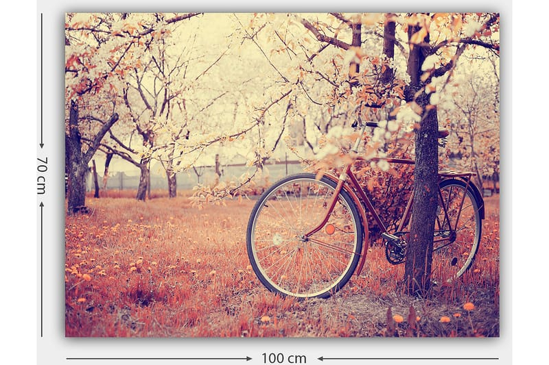 Canvas taulu 70x100 cm - Polkupyörä nojaa puuhun kukkivassa hedelmätarhassa keväällä - Oranssi / Ruskea / Harmaa - Sisustustuotteet - Taulu & taide - Canvas-taulu