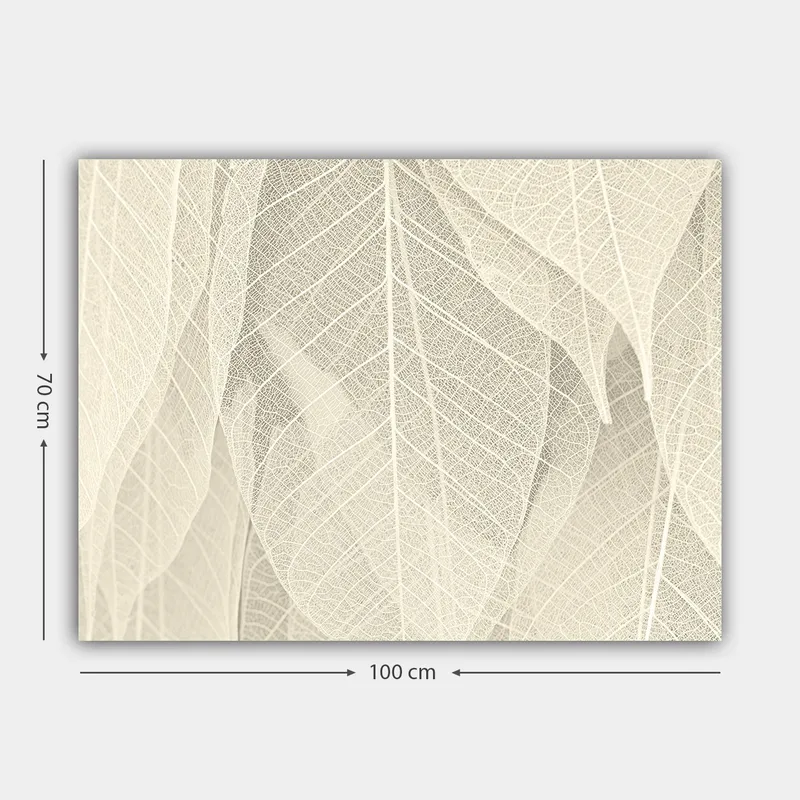 Canvas taulu 70x100 cm - Pehmeä ja hienovarainen läpikuultavien lehtien sommitelma, joka luo rauhallisuuden ja harmonian tunteen - Vaaleanbeige / Valkoinen - Sisustustuotteet - Taulu & taide - Canvas-taulu