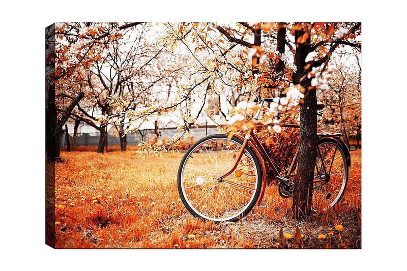 Canvas taulu 70x100 cm - Polkupyörä nojaa puuhun syksyisessä maisemassa, jossa on oransseja ja keltaisia lehtiä, Oranssi / Keltainen / Ruskea