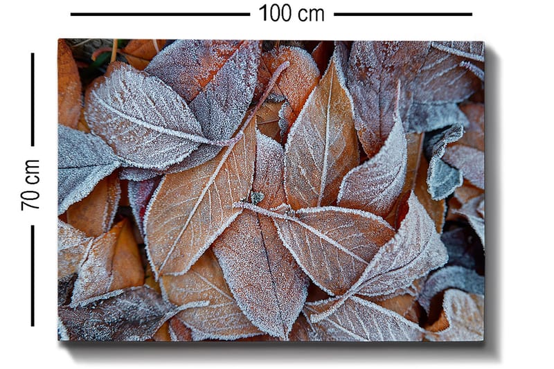 Canvas taulu 70x100 cm - Pakkaslehtiä syksyn väreissä - Oranssi / Harmaa / Valkoinen - Sisustustuotteet - Taulu & taide - Canvas-taulu