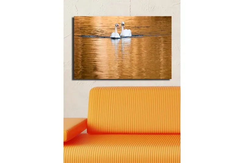 Canvas-taulu 70x45 cm - Kaksi joutsenta uimassa peilimäisissä, kultaisissa vesipinnoissa - Valkoinen / Kulta / Sininen - Sisustustuotteet - Taulu & taide - Canvas-taulu
