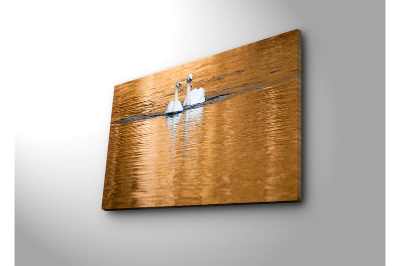 Canvas-taulu 70x45 cm - Kaksi joutsenta uimassa peilimäisissä, kultaisissa vesipinnoissa - Valkoinen / Kulta / Sininen - Sisustustuotteet - Taulu & taide - Canvas-taulu