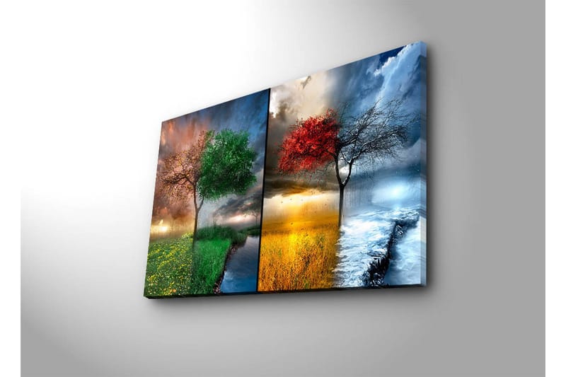 Canvas-taulu 70x45 cm - Kaksi puuta vastakkaisissa vuodenajoissa, toinen vihreillä ja toinen punaisilla lehdillä - Vihreä / Punainen / Sininen - Sisustustuotteet - Taulu & taide - Canvas-taulu