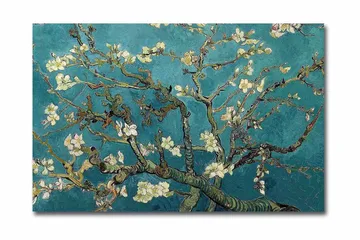 Canvas-taulu 70x45 cm - Kukkivia oksia turkoosia taustaa vasten - Turkoosi / Valkoinen / Tummanvihreä - Sisustustuotteet - Taulu & taide - Canvas-taulu